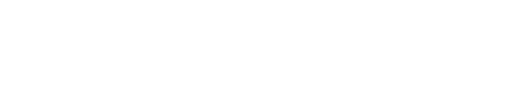 Fleet Direct Sales